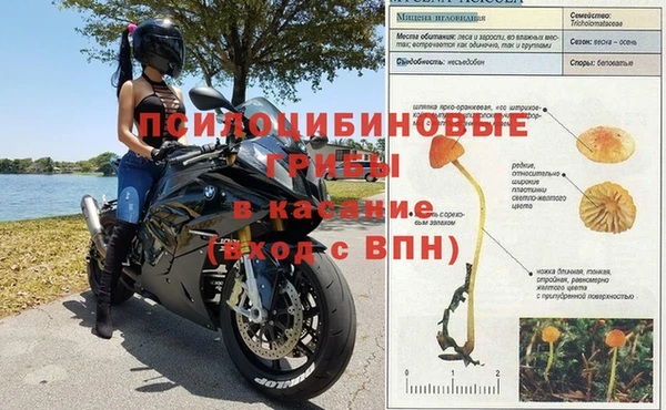 каннабис Сатка