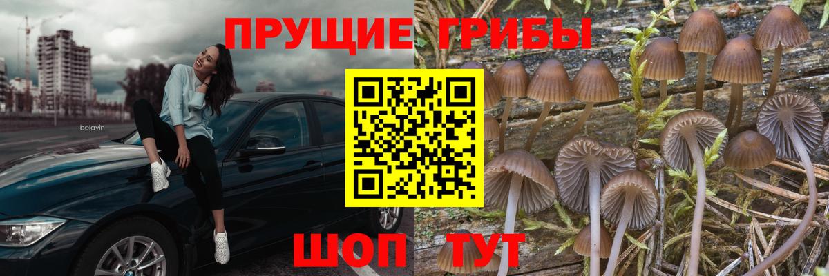 Алапаевск  Псилоцибиновые грибы Magic Shrooms  Вход с VPN  Псилоцибиновые грибы GOLDEN TEACHER 
